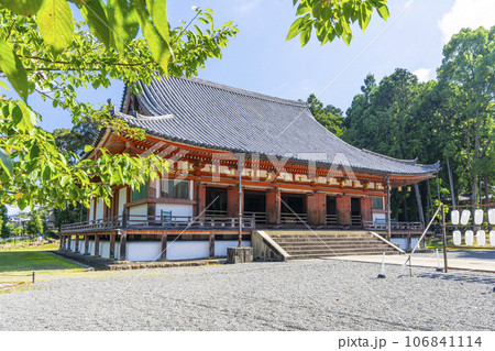 京都 醍醐寺 金堂 夏の季節 京都 醍醐寺 金堂 夏の季節 106841114