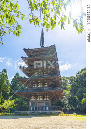 京都　醍醐寺　五重塔　夏の季節 106841119