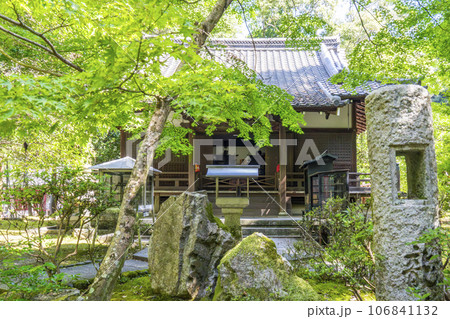 京都 醍醐寺 祖師堂 夏の季節 京都 醍醐寺 祖師堂 夏の季節 106841132