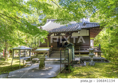 京都 醍醐寺 祖師堂 夏の季節 京都 醍醐寺 祖師堂 夏の季節 106841134