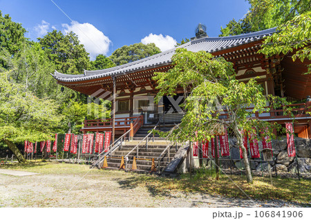 京都 醍醐寺 観音堂 夏の季節 京都 醍醐寺 観音堂 夏の季節 106841906