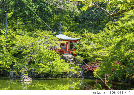 京都　醍醐寺　新緑に包まれた弁天堂 106841914