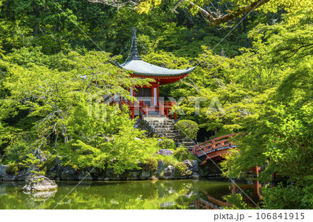 京都　醍醐寺　新緑に包まれた弁天堂 106841915