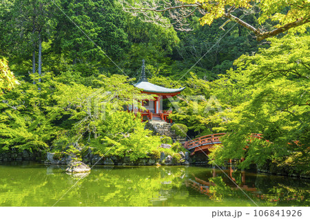 京都 醍醐寺 新緑に包まれた弁天堂 京都 醍醐寺 新緑に包まれた弁天堂 106841926