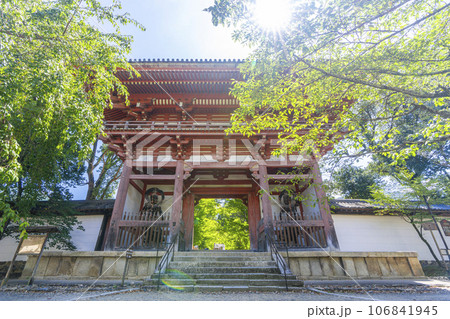 京都 醍醐寺 西大門(仁王門) 夏の季節 京都 醍醐寺 西大門(仁王門) 夏の季節 106841945