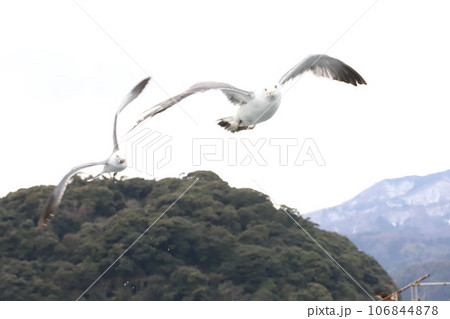 海の京都伊根町　舟屋群 106844878