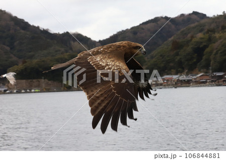 海の京都伊根町　舟屋群 106844881