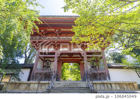 京都 醍醐寺 西大門(仁王門) 夏の季節 京都 醍醐寺 西大門(仁王門) 夏の季節 106845049