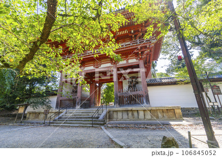 京都 醍醐寺 西大門(仁王門) 夏の季節 京都 醍醐寺 西大門(仁王門) 夏の季節 106845052