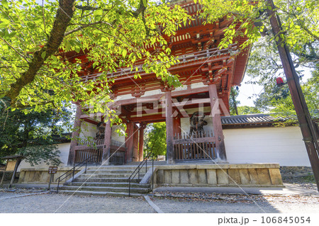 京都　醍醐寺　西大門（仁王門）　夏の季節 106845054