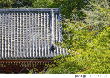 京都　醍醐寺　西大門（仁王門）　夏の季節 106845096