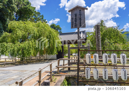 京都　醍醐寺　総門　西国三十三所第11番札所　夏の季節 106845103
