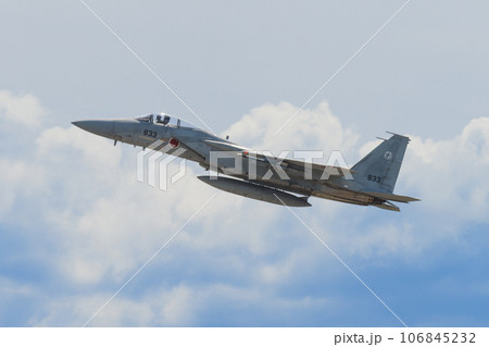 雲上の航空自衛隊第303飛行隊F-15Jイーグル 雲上の航空自衛隊第303飛行隊F-15Jイーグル 106845232