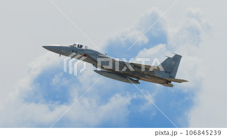 雲上の航空自衛隊第303飛行隊F-15Jイーグル 106845239
