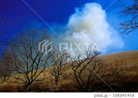大室山の山焼きの光景 大室山の山焼きの光景 106845456