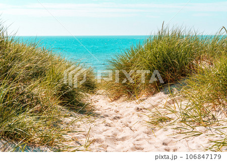 Marram grass dunes on the Sylt island and the North Sea in the background 106847179