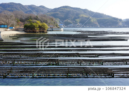 安徳天皇伝説が伝わる蹴り小島　抑制棚の牡蠣養殖（広島県江田島市） 106847324