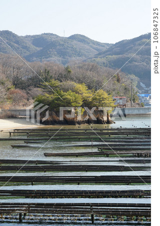 安徳天皇伝説が伝わる蹴り小島 抑制棚の牡蠣養殖(広島県江田島市) 安徳天皇伝説が伝わる蹴り小島 抑制棚の牡蠣養殖(広島県江田島市) 106847325
