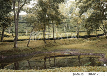 Landscape view of a lake in the park with trees and bushes Landscape view of a lake in the park with trees and bushes 106847590