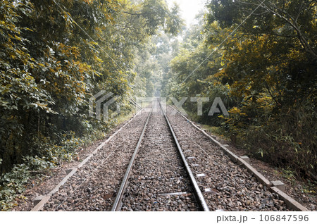 Railway line in the forest. Selective focus on rails. Sylhet, Bangladesh Railway line in the forest. Selective focus on rails. Sylhet, Bangladesh 106847596