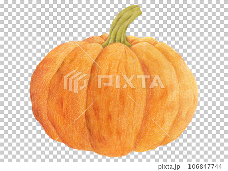 Illustration of autumn plants drawn with colored pencils. 106847744