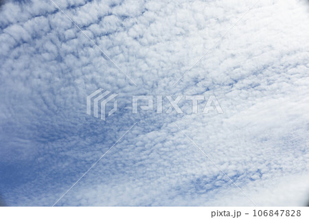 うろこ雲が広がる空 106847828