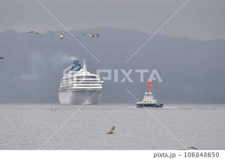 初秋の北海道函館市函館港に入港するクルーズ船飛鳥Ⅱとタグボートの風景を撮影 106848650