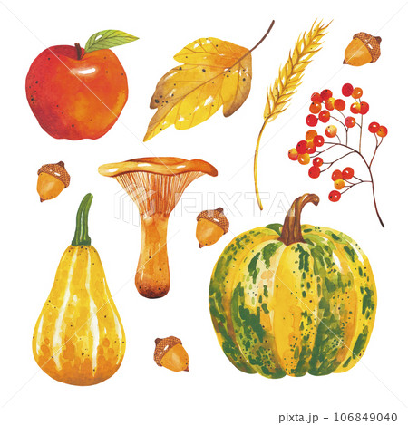 Watercolor hand-drawn set of autumn harvest. Autumn mushroom, leaf, pumpkin, acorn, apple, wheat and rowan. A collection of elements from the forest and farm for invitation, poster, banner template.  106849040