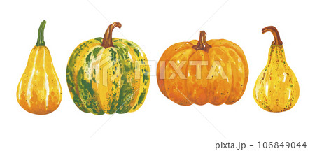 Watercolor hand drawn set of autumn pumpkins. Bright and colorful farm elements. A beautiful collection for Thanksgiving of Halloween invitations, posters and banners. Autumn time. Harvest festival. Watercolor hand drawn set of autumn pumpkins. Bright and colorful farm elements. A beautiful collection for Thanksgiving of Halloween invitations, posters and banners. Autumn time. Harvest festival. 106849044