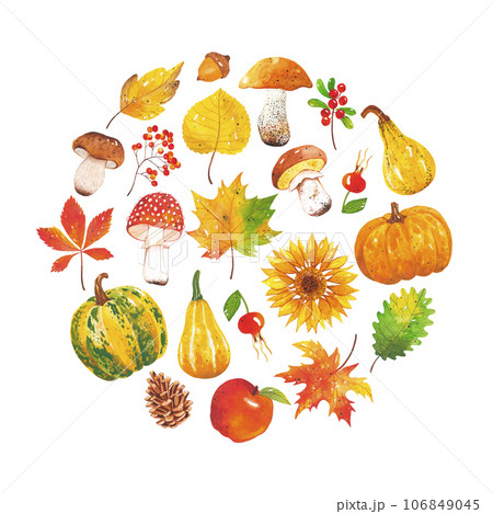 Watercolor hand-drawn set of autumn harvest. Autumn mushroom, leaf, pine cone, pumpkin, acorn, cranberry, apple, rosehip, sunflower and rowan. A collection of elements from the forest and farm. Watercolor hand-drawn set of autumn harvest. Autumn mushroom, leaf, pine cone, pumpkin, acorn, cranberry, apple, rosehip, sunflower and rowan. A collection of elements from the forest and farm. 106849045