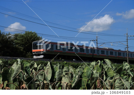 里芋畑と夏空に見送られながら走る武蔵野線E231系電車_2023/8/5撮影 里芋畑と夏空に見送られながら走る武蔵野線E231系電車_2023/8/5撮影 106849103
