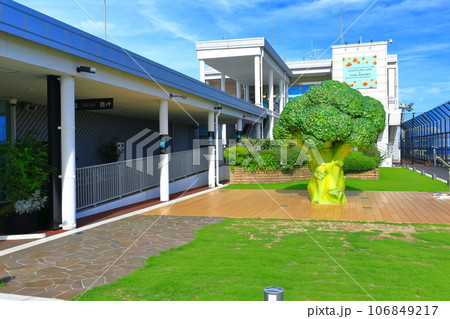 【兵庫県】晴天の神戸空港の送迎デッキ 106849217