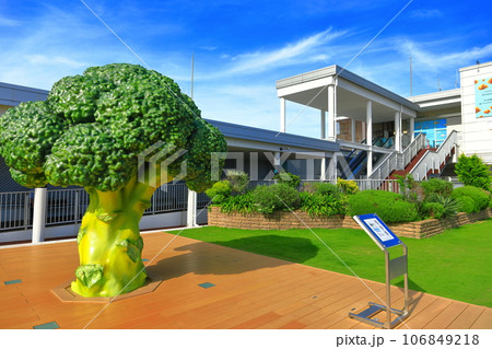 【兵庫県】晴天の神戸空港の送迎デッキ 106849218