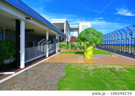 【兵庫県】晴天の神戸空港の送迎デッキ 106849239