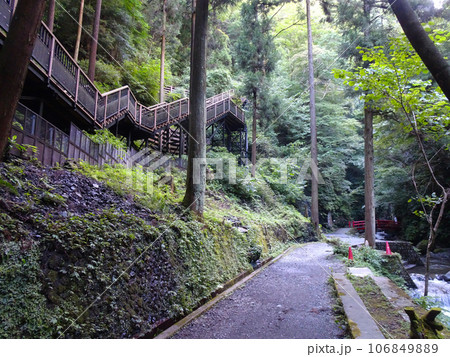 洒水の滝(しゃすいのたき)へ向かう歩道【神奈川県足柄上郡山北町平山】2023年8月撮影 洒水の滝(しゃすいのたき)へ向かう歩道【神奈川県足柄上郡山北町平山】2023年8月撮影 106849889