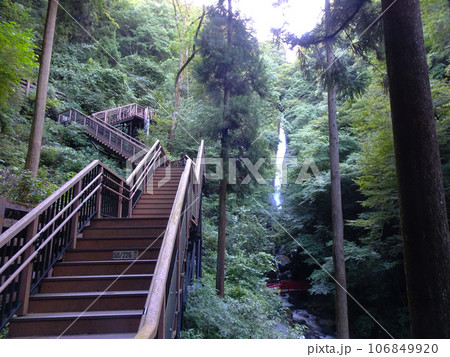 名水百選 洒水の滝（しゃすいのたき）【神奈川県足柄上郡山北町平山】2023年8月撮影 106849920