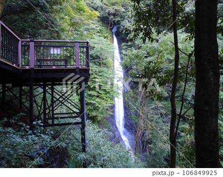 名水百選 洒水の滝（しゃすいのたき）【神奈川県足柄上郡山北町平山】2023年8月撮影 106849925
