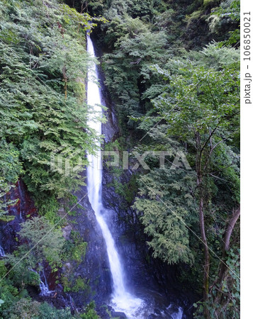 名水百選 洒水の滝（しゃすいのたき）【神奈川県足柄上郡山北町平山】2023年8月撮影 106850021