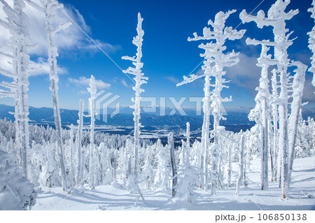 青空と美しい樹氷7 106850138