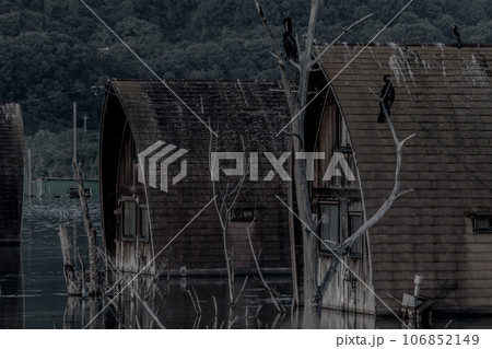 黒い鳥とペンションの怖さ 106852149