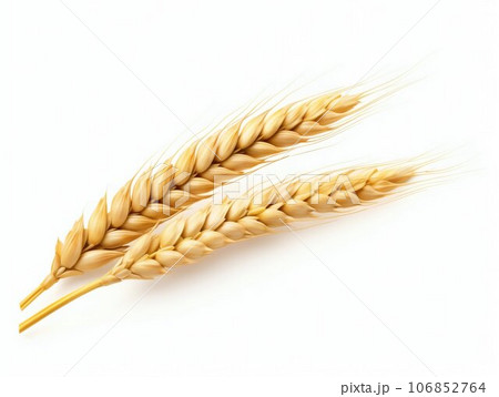 Golden Ear of Wheat Isolated on White Background. Generative ai 106852764