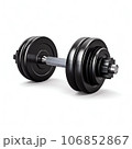 Dumbell isolated on white background 106852867