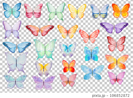 Watercolor colorful butterfles, isolated Illustrations set for summer stationery Watercolor colorful butterfles, isolated Illustrations set for summer stationery 106852872