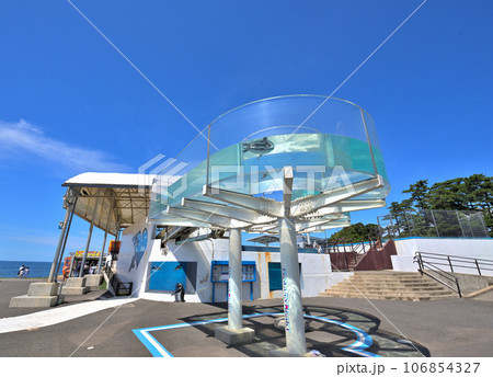 《福井県》越前松島水族館 《福井県》越前松島水族館 106854327