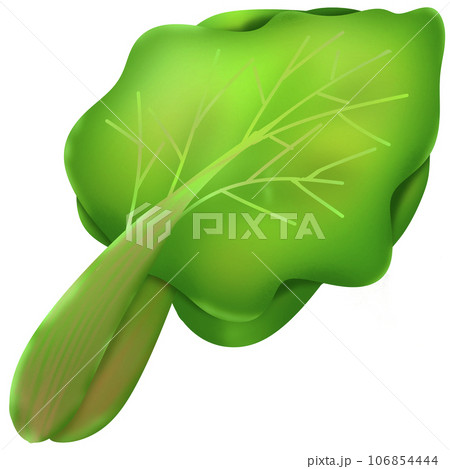 Beet greens 106854444