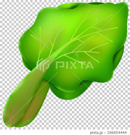 Beet greens Beet greens 106854444