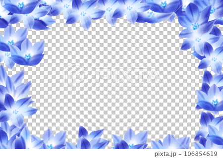 Brodia flower card 2 Brodia flower card 2 106854619