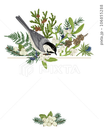 Christmas traditional card with birds and winter plants. Fern, spruce, mistletoe, larch, thuja and titmouse. Hand drawn botanical illustration. 106855288
