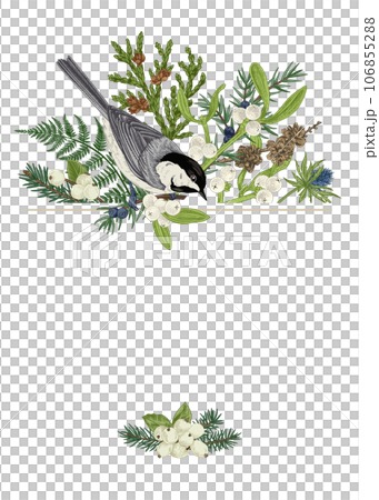 Christmas traditional card with birds and winter plants. Fern, spruce, mistletoe, larch, thuja and titmouse. Hand drawn botanical illustration. 106855288