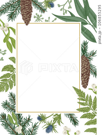 Vintage Christmas frame. Winter background. Conifer branches and cones, mistletoe berries, ferns, leaves and seeds of eucalyptus, eryngium. Botanical illustration. Vintage Christmas frame. Winter background. Conifer branches and cones, mistletoe berries, ferns, leaves and seeds of eucalyptus, eryngium. Botanical illustration. 106855295